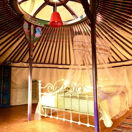 Exclusive Nirvana Yurts Glamping Като Дрис Екстер'єр фото