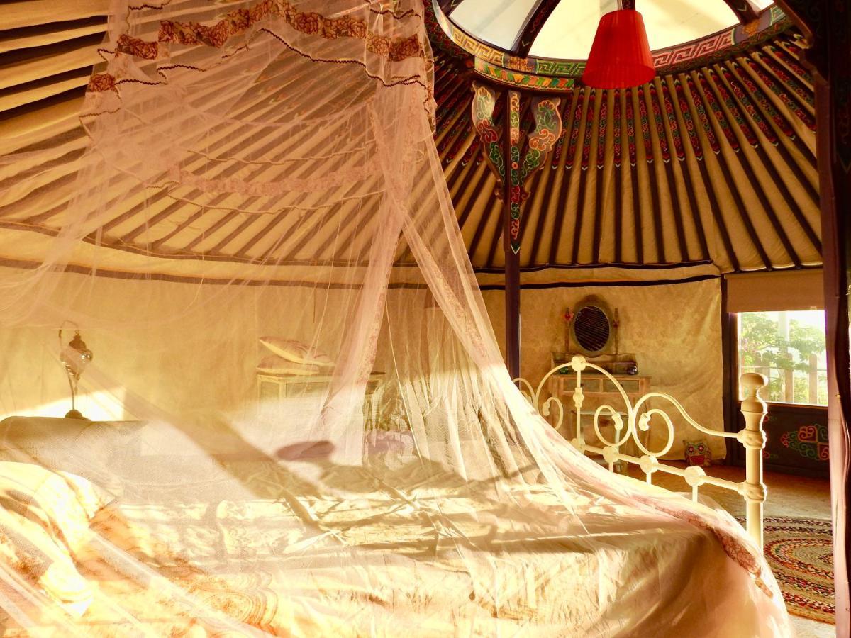 Exclusive Nirvana Yurts Glamping Като Дрис Екстер'єр фото